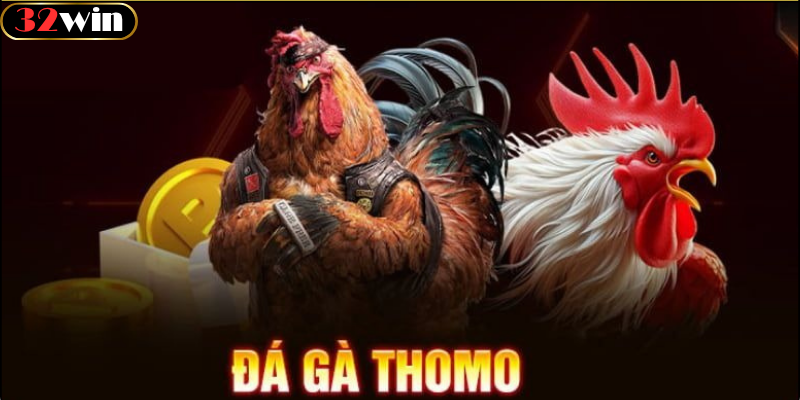 Đá Gà Thomo Là Gì?
