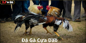 Đá Gà Cựa Dao Là Gì?